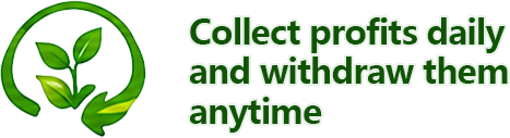Collect profits daily and withdraw them anytime